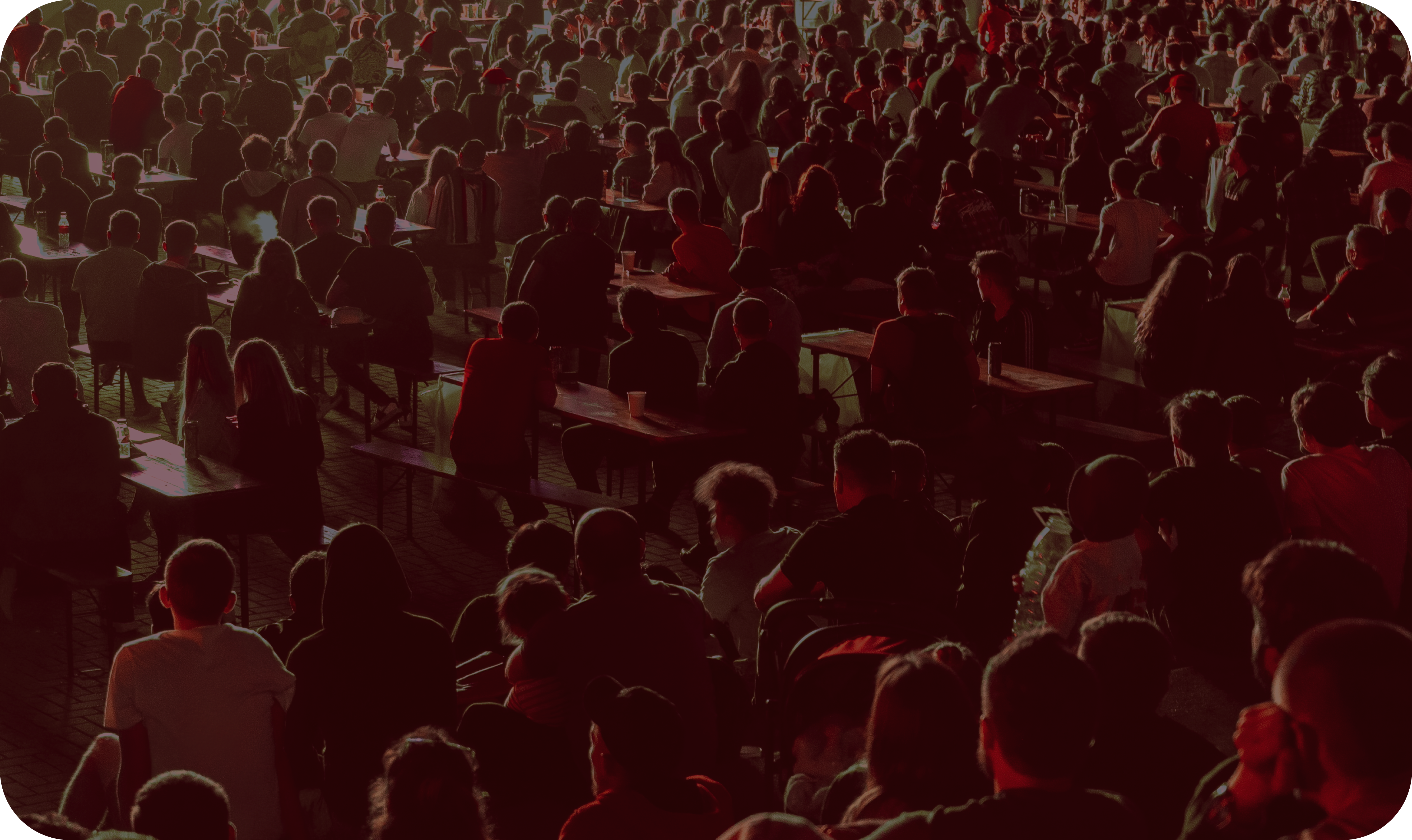Audience Background
